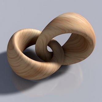 Positive Feed-Forward - intertwined wooden rings