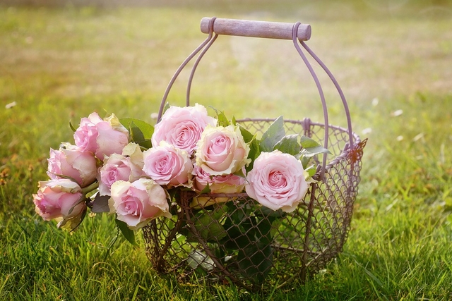 A beautiful basket of roses