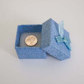 Gift box with single coin inside