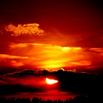 Aromatic Sunset