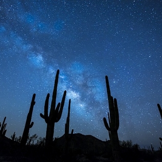Starry Sky