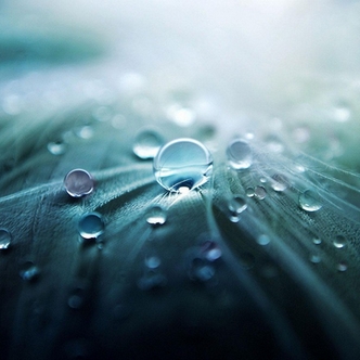 Tiny water droplets
