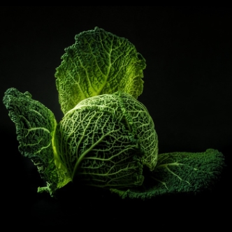 Cabbage