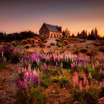 House on a hill