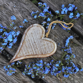 Heartflowers