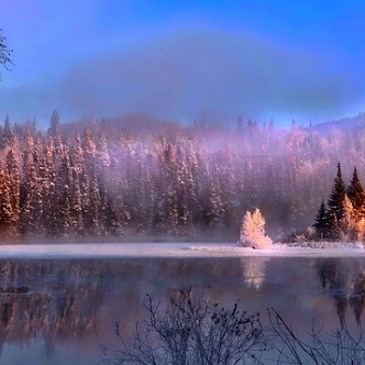 Beautiful Landscape